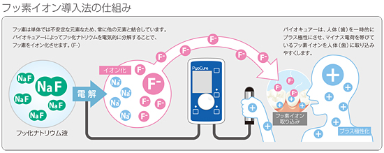 フッ素イオン導入の仕組み