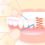 デンタルフロスの使い方