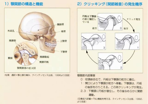 顎関節とその異常について